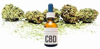 cbd capsules