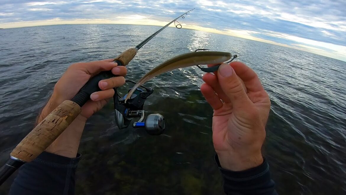 How to Surf Fish with Light Tackle?