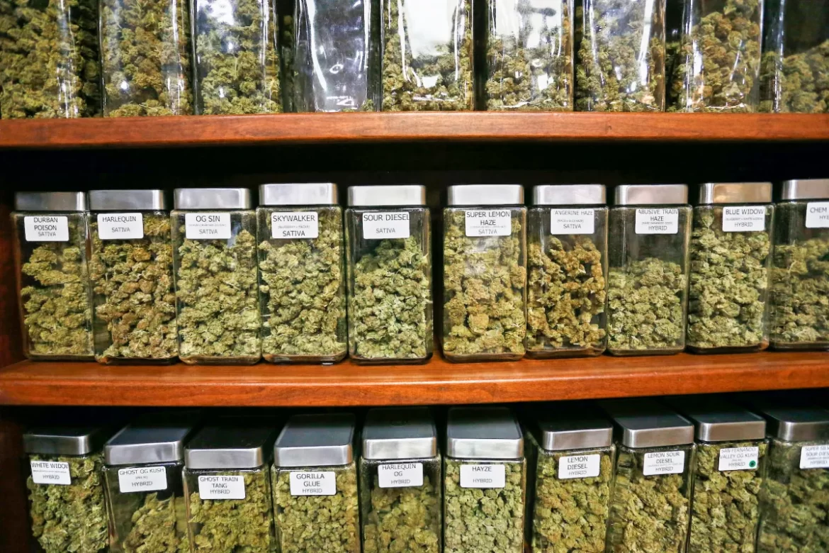 FL Marijuana Dispensaries: The Intersection of Recreation and Medicinal Cannabis