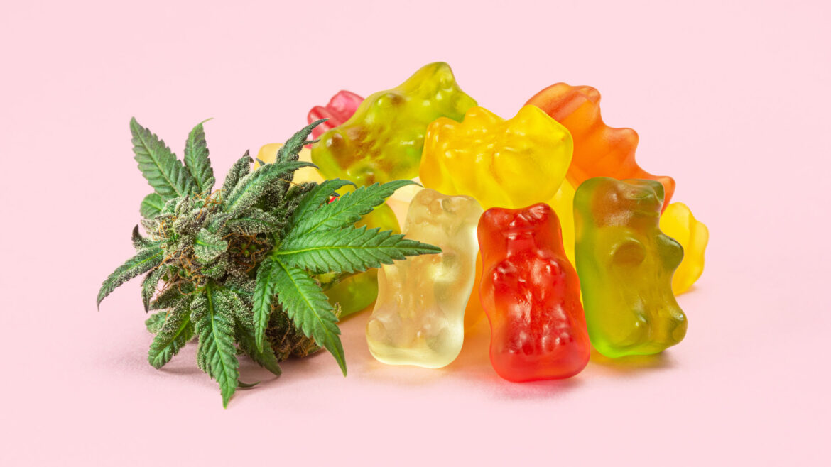 Vibrant Vitality: HHC Gummies for Immune Support