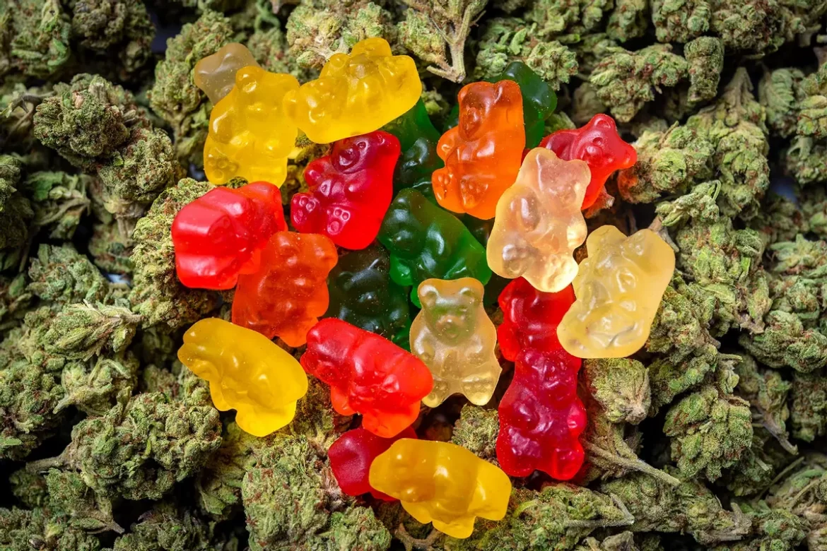 Important Things to Think About Before Getting Into Delta 9 CBD Gummies